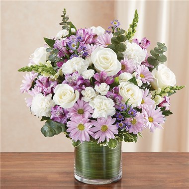 95421m_HR_fd_05_09_17